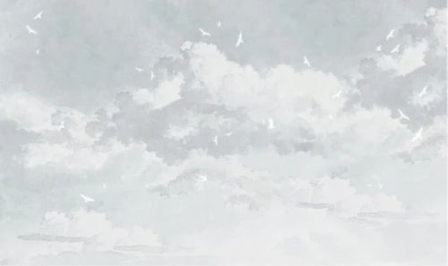 Tapeta niebo Wall Art White Birds