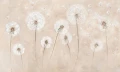 Tapeta w dmuchawce Wall Art Soffio