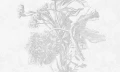 Tapeta w kwiaty Wall Art Light Flower