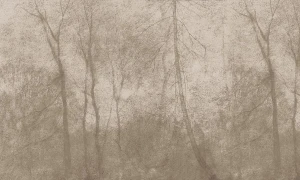 Tapeta mglisty las Wall Art Foggy