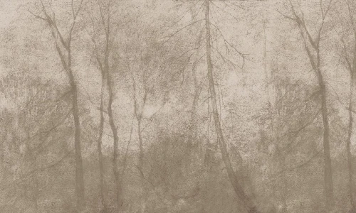 Tapeta mglisty las Wall Art Foggy