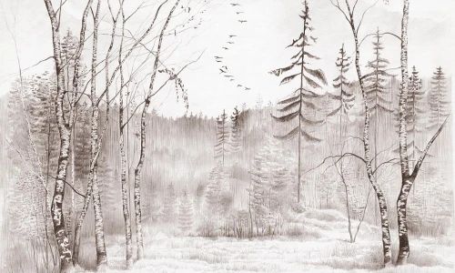 Tapeta las Wall Art Bosco