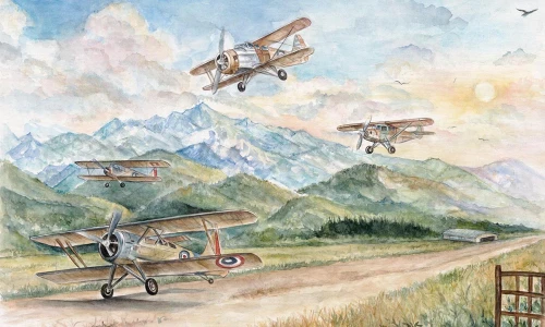 Tapeta samoloty Wall Art Aviator