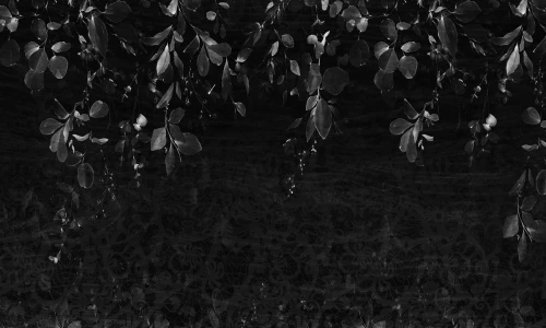 Tapeta liście Hanging leaves Rauv The First