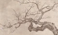 Tapeta drzewo Tree portrait Rauv The First