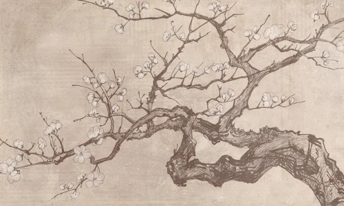 Tapeta drzewo Tree portrait Rauv The First