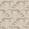109/2012 tapeta Cole&Son Ardmore