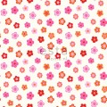 137-138725 Esta Home Everybody Bonjour