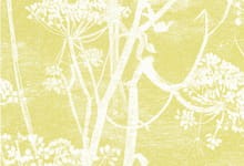 Cole & Son Cow Parsley