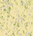 Tapeta 100/6029 Archive Anthology Cole&Son