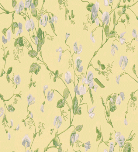Tapeta 100/6029 Archive Anthology Cole&Son