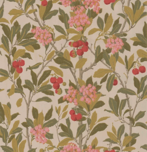 Tapeta 100/10047 Archive Anthology Cole&Son