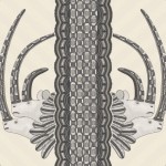109/3014 tapeta Cole&Son Ardmore