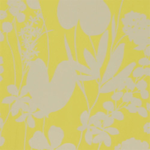 111050 tapeta Harlequin Amazilia