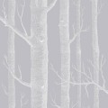 112/3012 Woods tapeta Icons Cole&Son