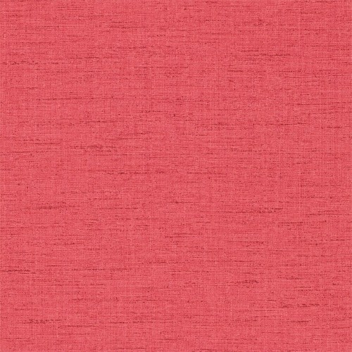 111043 tapeta Harlequin Amazilia