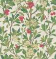 Tapeta 100/10049 Archive Anthology Cole&Son