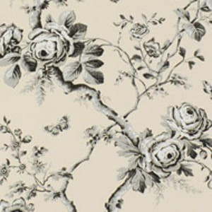 Tapeta Ralph Lauren Signature Papers PRL027/03