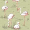 112/11038 tapeta Icons Cole&Son