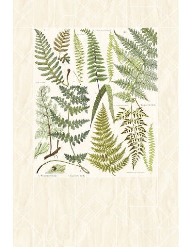 366102 fototapeta Eijffinger Geonature